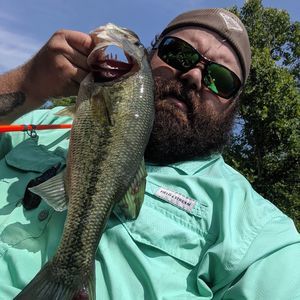 Meet your Posher, Kevin